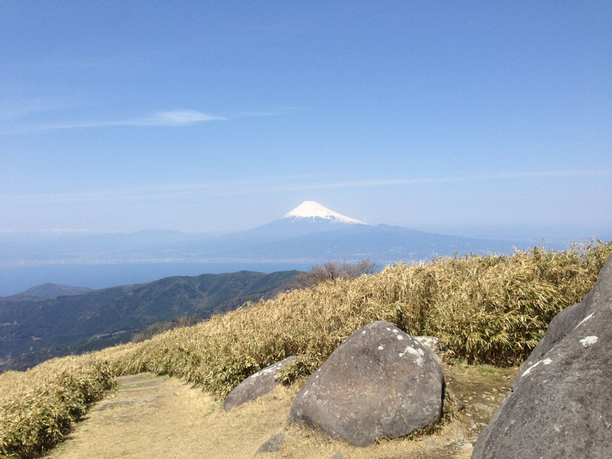 達磨山山頂