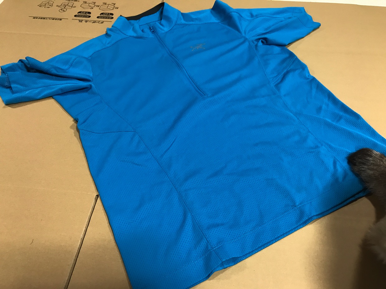 アークテリクス Tシャツ