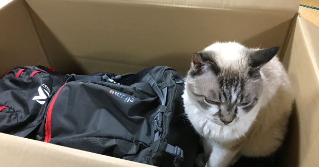 買うトドア買取